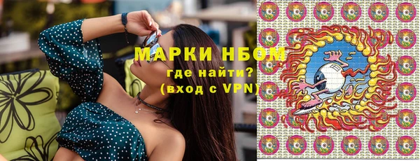 индика Ладушкин