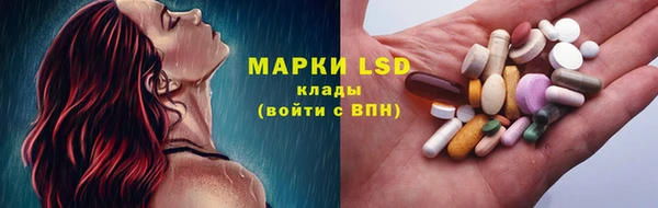 индика Ладушкин