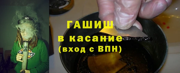 индика Ладушкин