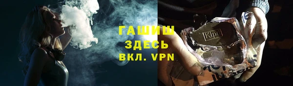 индика Ладушкин