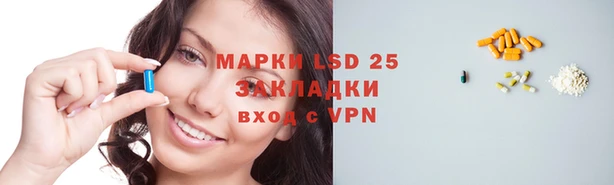 индика Ладушкин