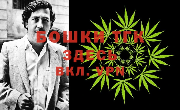 индика Ладушкин