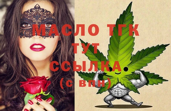 индика Ладушкин