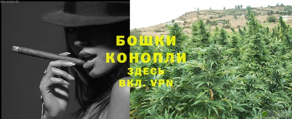 индика Ладушкин