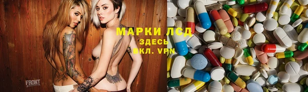 индика Ладушкин