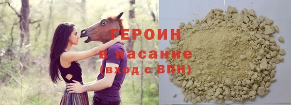 индика Ладушкин