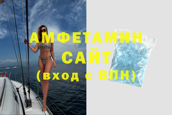 индика Ладушкин